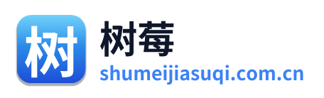 树莓加速器 Logo